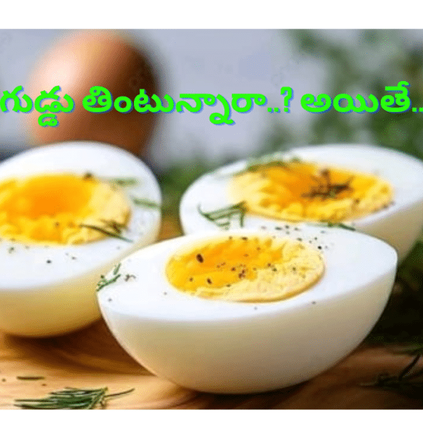 కోడిగుడ్డు తింటున్నారా.. అయితే..